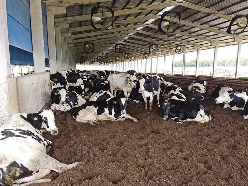 AS Projetos e Pré Moldados